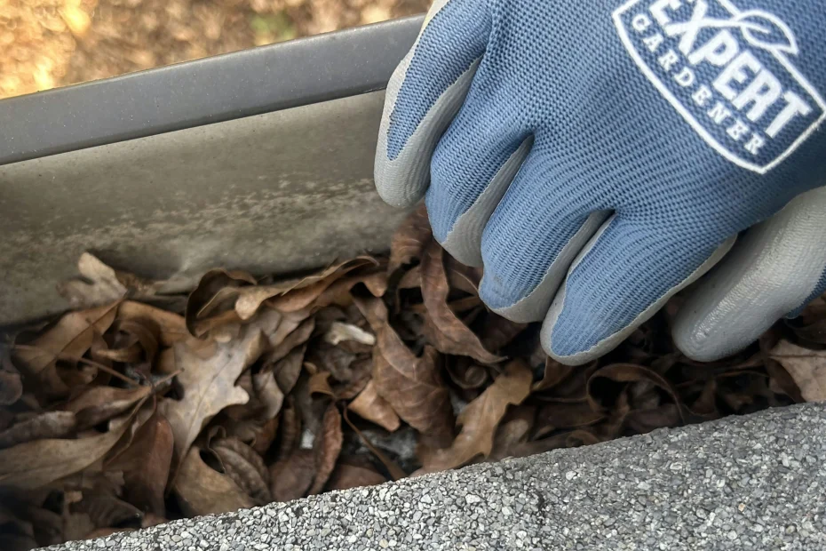 Gutter Cleaning Annandale