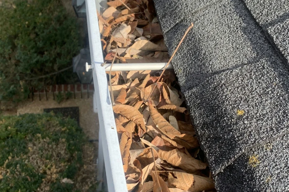 Gutter Cleaning Annandale