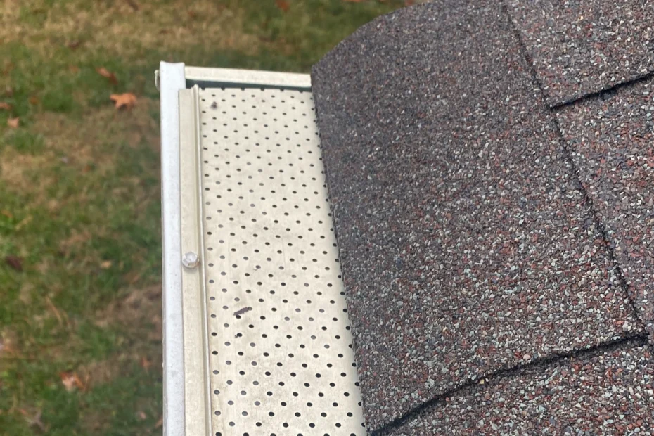 Gutter Cleaning Annandale