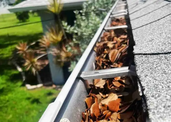 Gutter Cleaning Annandale home page